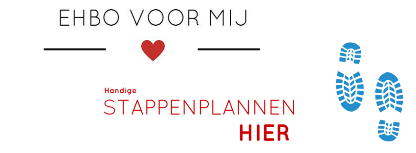 EHBO Voor Mij met stappenplannen EHBO